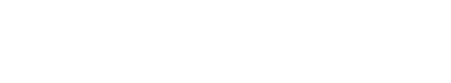 NEXIVIO Logo